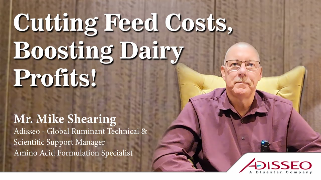 Exclusive Interview: Mike Shearing, Global Ruminant Expert & Amino Acid Specialist at Adisseo