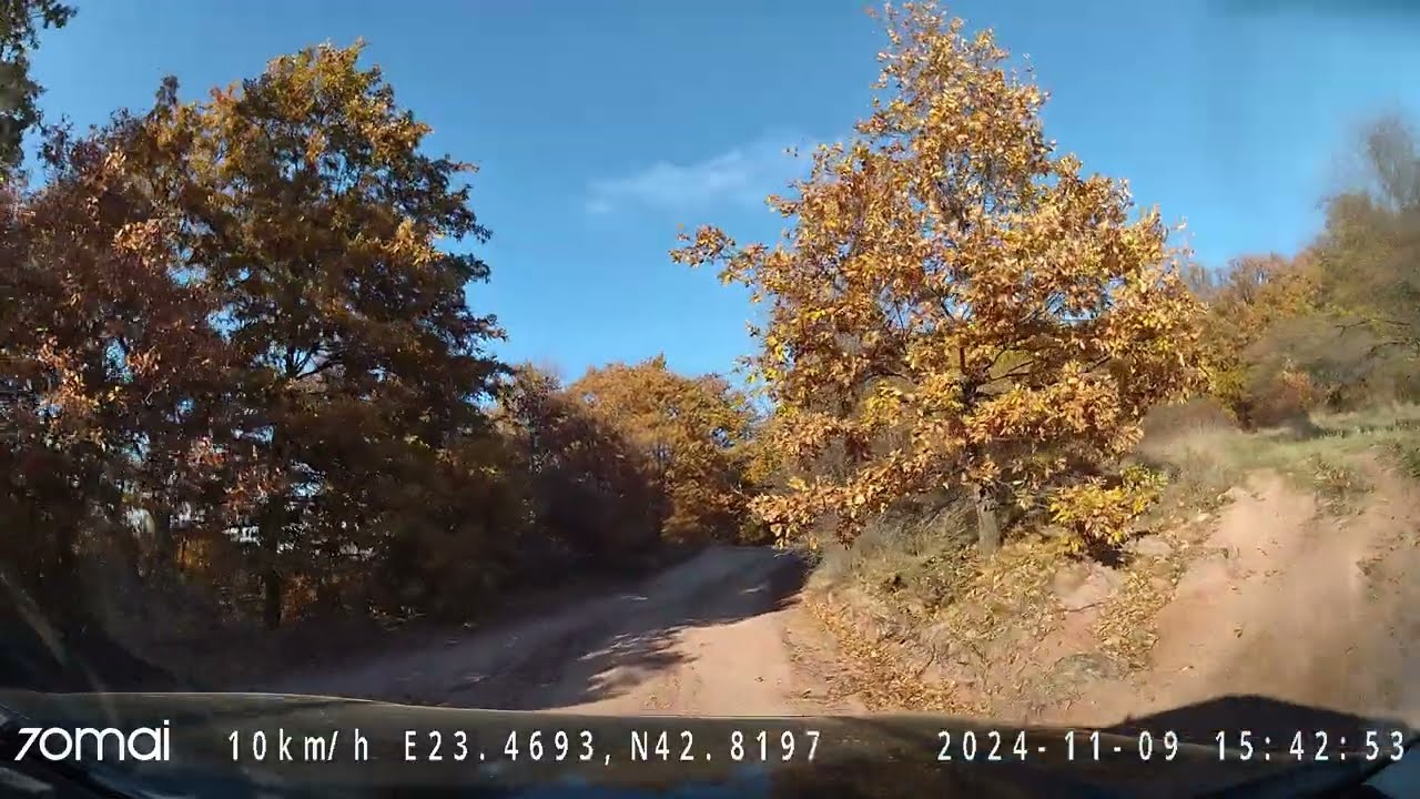 Кратка забежка в гората над Локорско, 09.11.2024, [4k]