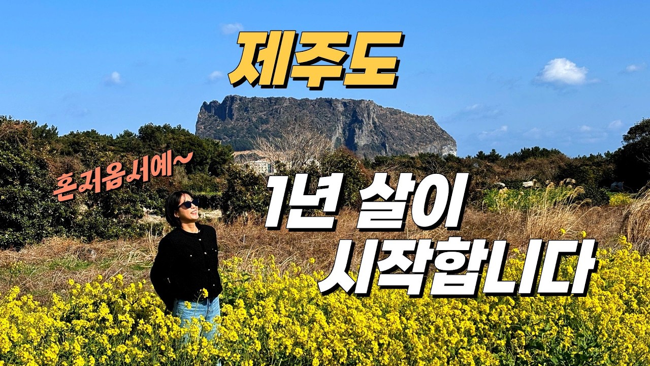 제주도 1년 살이, 유채꽃이 만발하는 3월 부터 시작합니다.