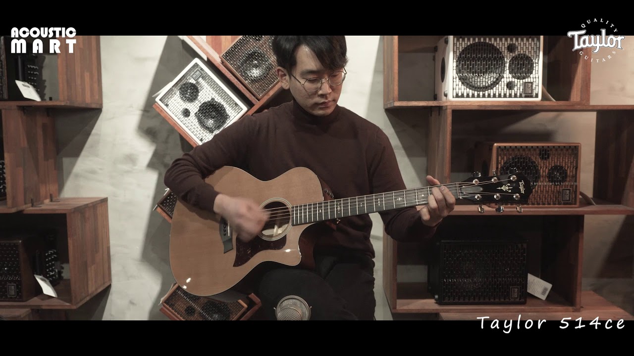테일러 (Taylor) 514ce 사운드 샘플