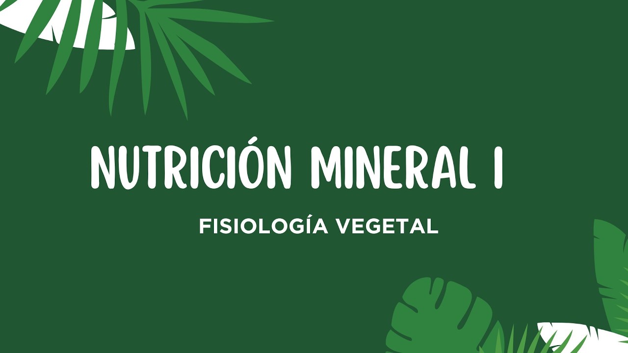 Nutrición mineral I