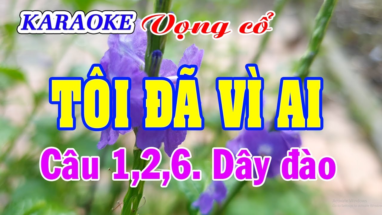Karaoke _  Tôi Đã Vì Ai _  Dây Đào