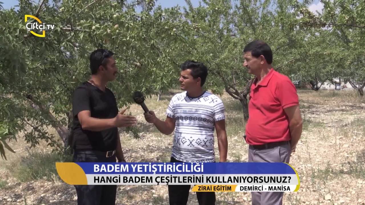 Zirai Eğitim-Badem Yetiştiriciliği
