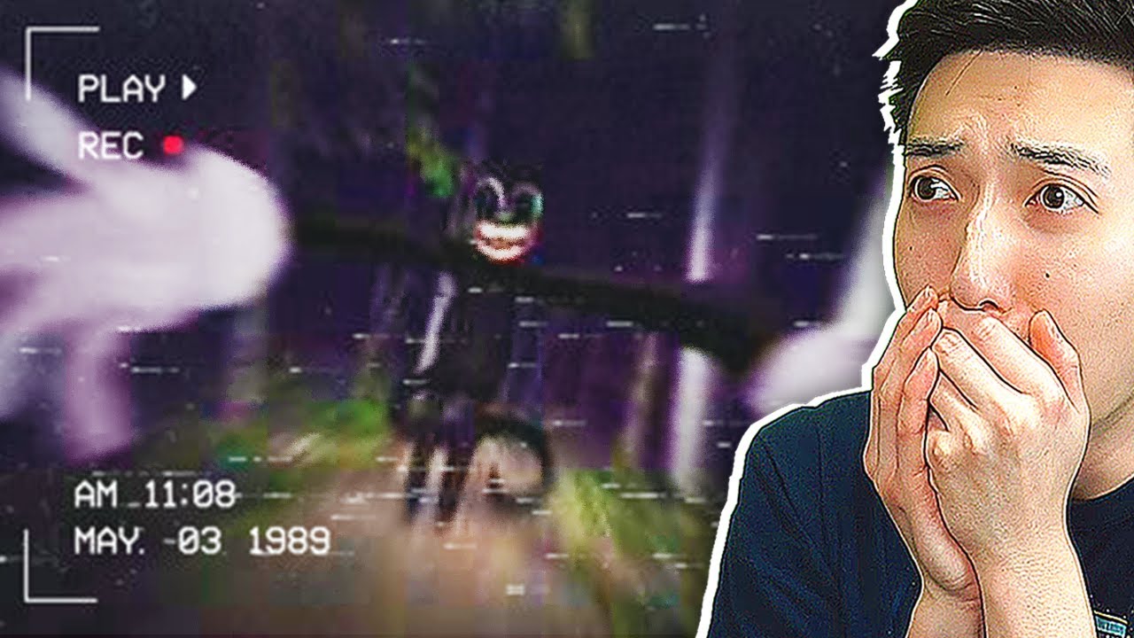 I GOT ATTACKED BY CARTOON CAT!!