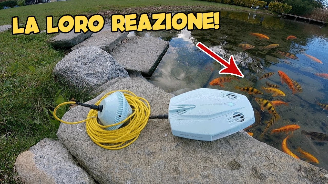 I PESCI sono IMPAZZITI quando hanno visto il DRONE Subacqueo! 🤯