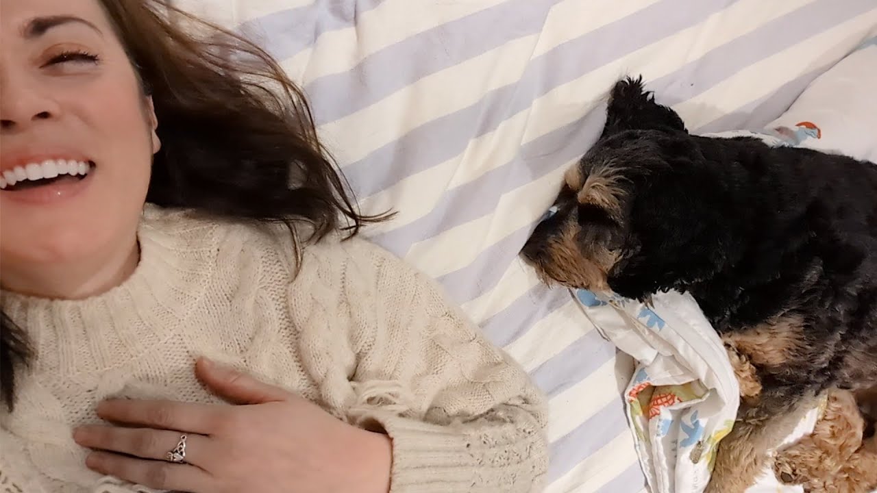 A Day in my Life (Rose)