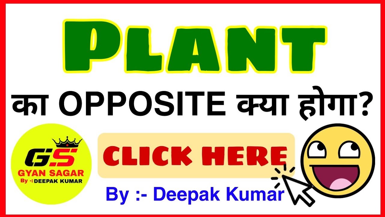 plant ka opposite word | plant ka | plant ka synonyms | opposite word kya hoga