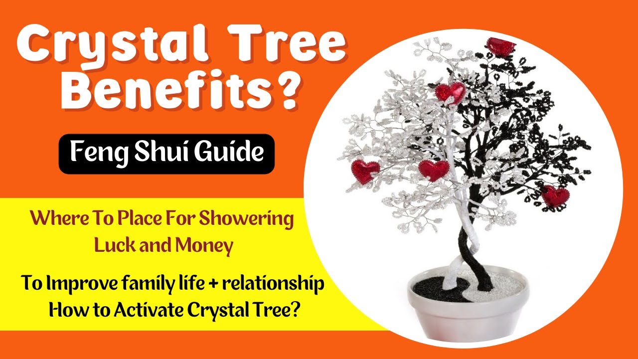 Feng Shui Crystal Tree Benefits: Meaning, Healing, Usages and Placement and Direction Guide #GemTree