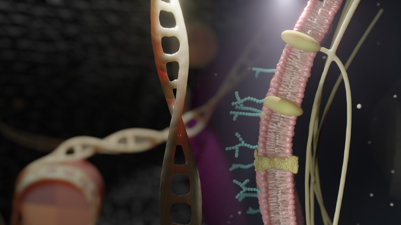 How a CELL is constructed | Animation