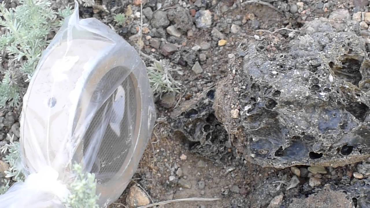 Место первого испытания советского ядерного оружия (РДС-1)