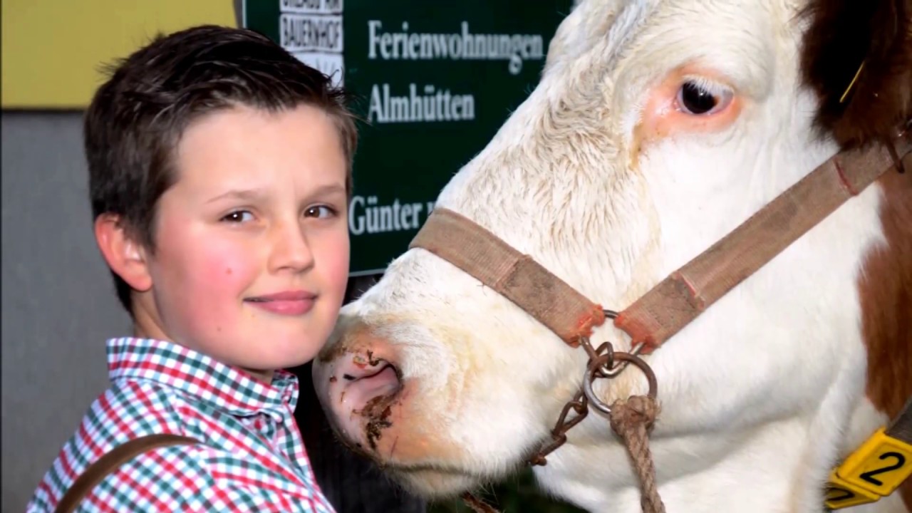 Urlaub am Bauernhof bei Familie Knapp