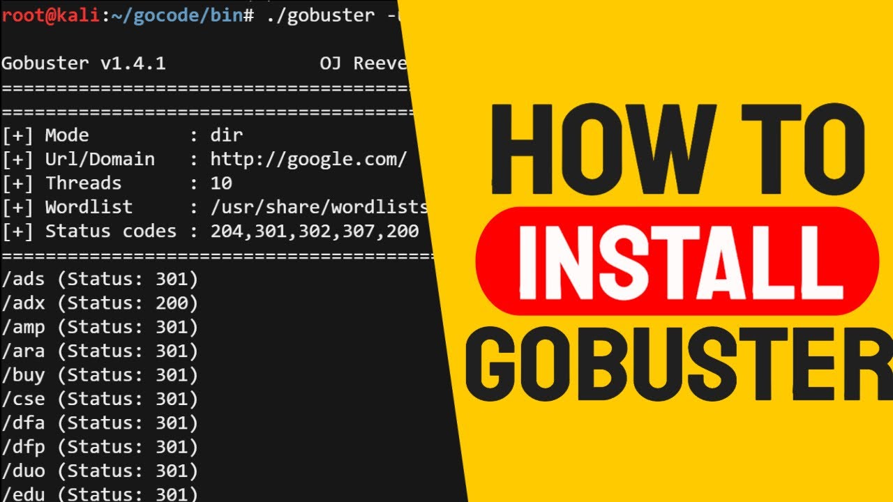 Gobuster command not found on Kali 2020 | How to Install and run Gobuster 2020