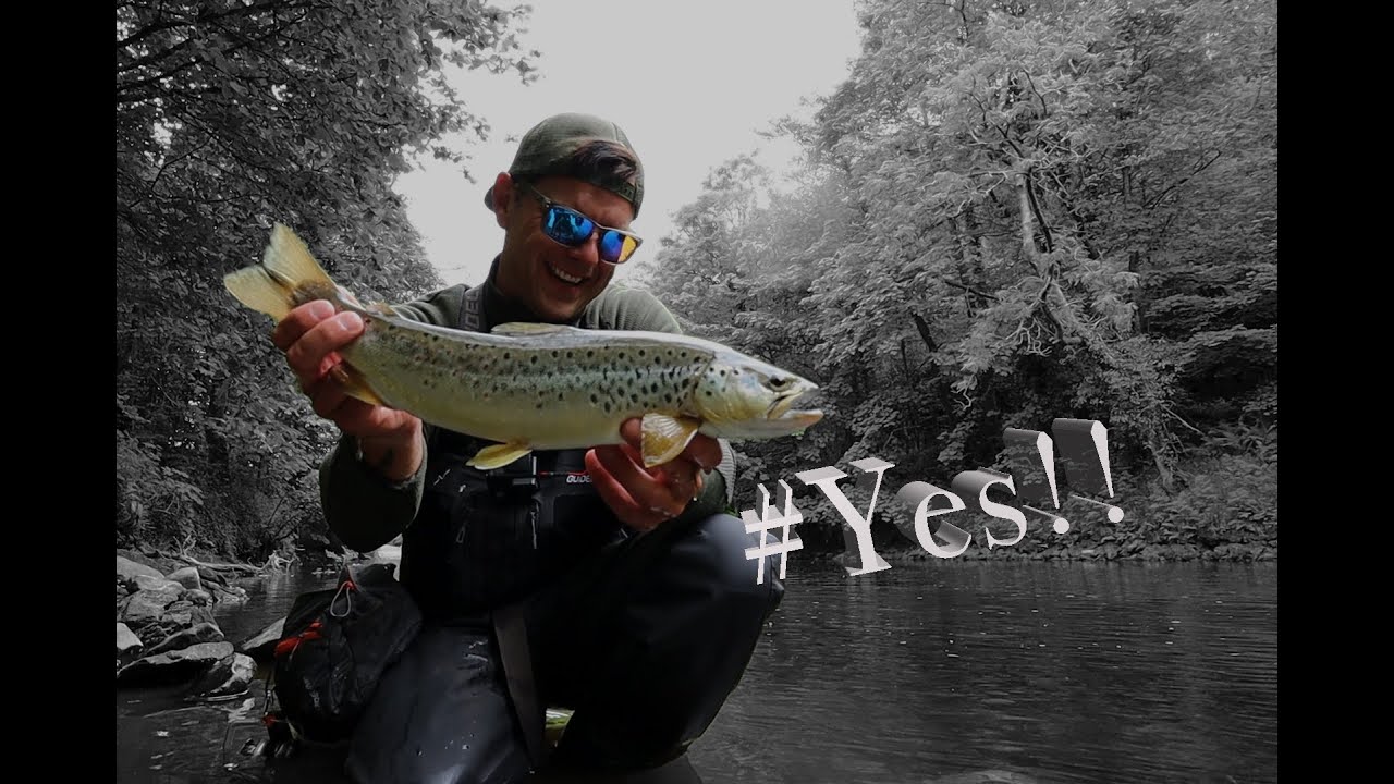Dry Fly Fishing for...... Sea Trout !?! River Tawe