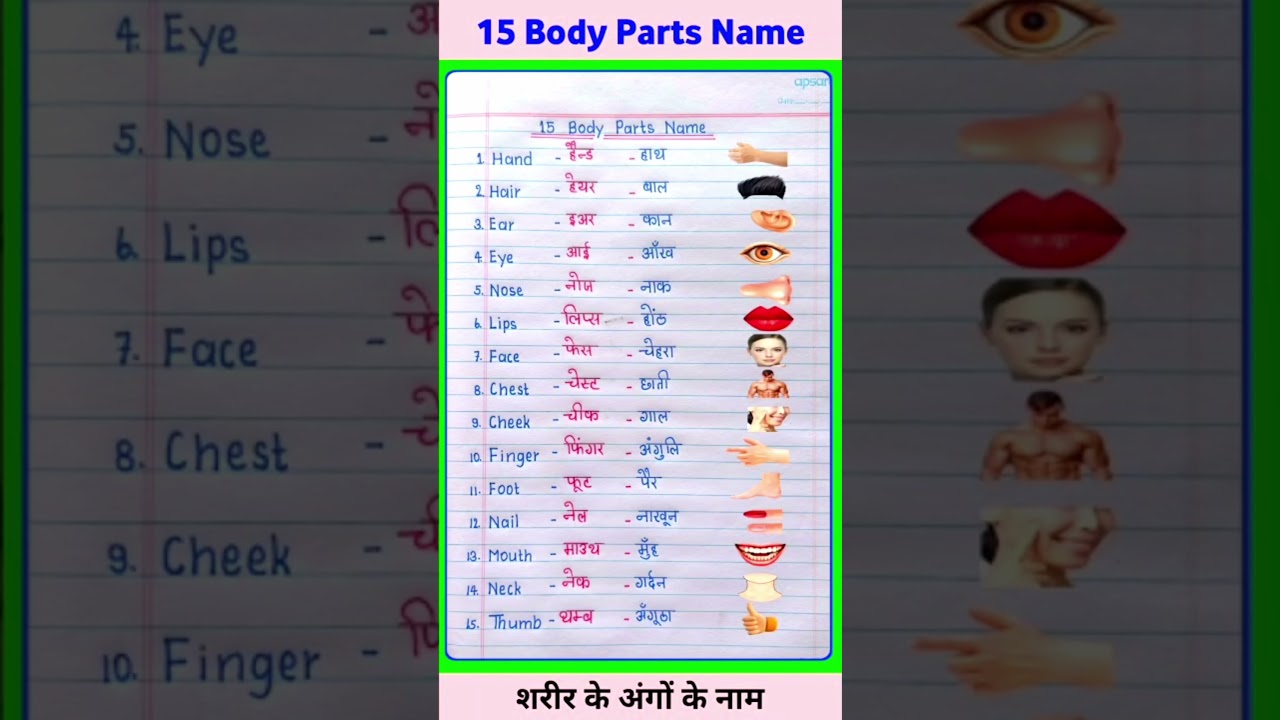 15 body parts name in english and hindi | body parts name | sharir ke angon ke naam #shorts #english