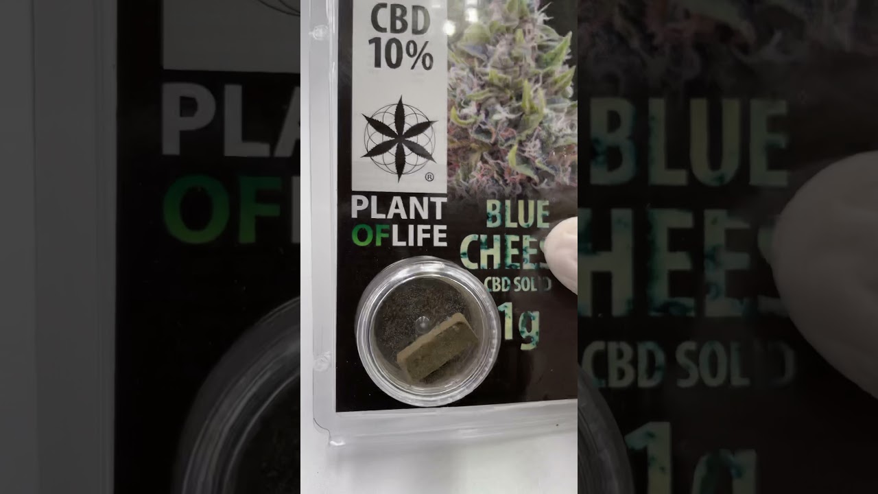 R&eacute;sine de cbd bleue chesse