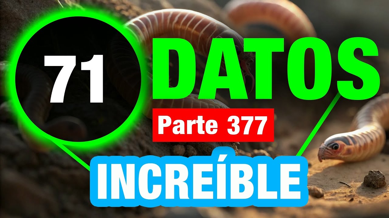71 Datos Poco Conocidos En Los Que No Creer&aacute;s