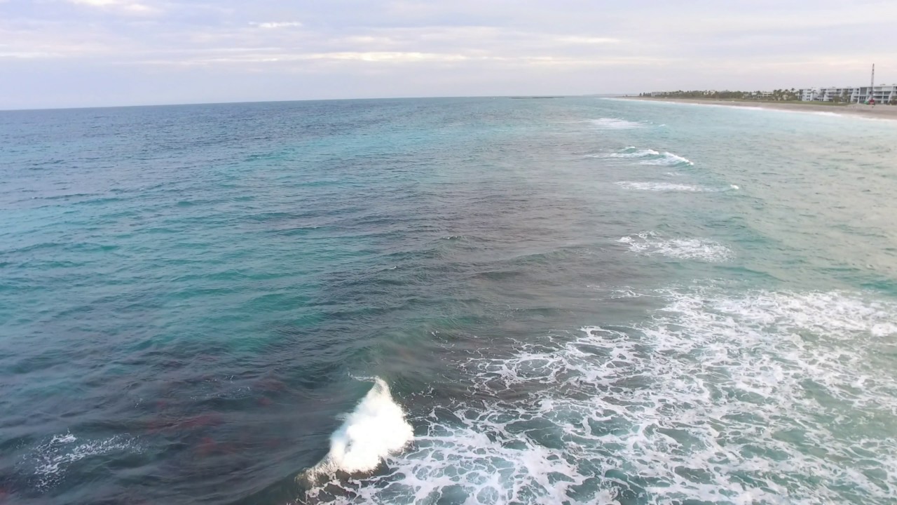 Bathtub Beach Sharks HD