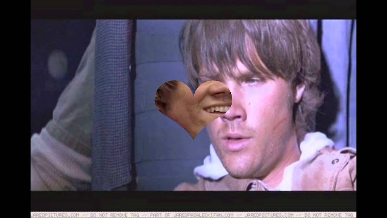 Our Sammy