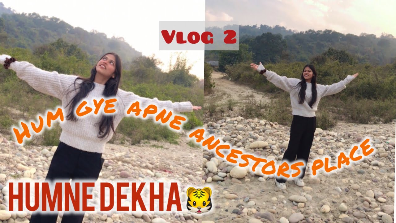 Humne dekha tiger🐯😨 