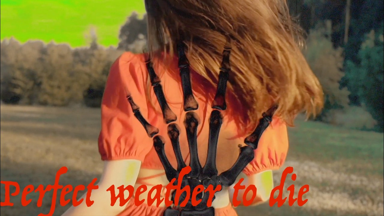 Mortimer Nyx - Perfect weather to die || Dark Dreamy Psychedelic Indie Folk