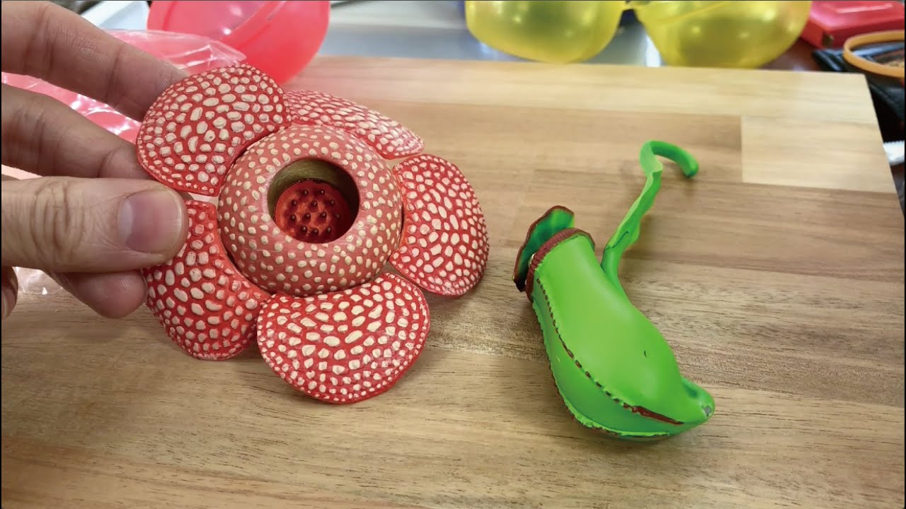 ガチャ「巨大花と食虫植物」開封〔タカラトミーアーツ〕