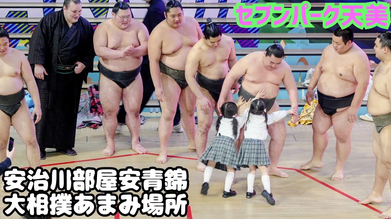 【大相撲あまみ場所】ちびっこ相撲に会場大歓声💨春場所🌸横綱昇進目指す大関安青錦と安治川親方も思わずニッコリ😁セブンパーク天美 松原市 Aonishiki Sumo Osaka spring 2026