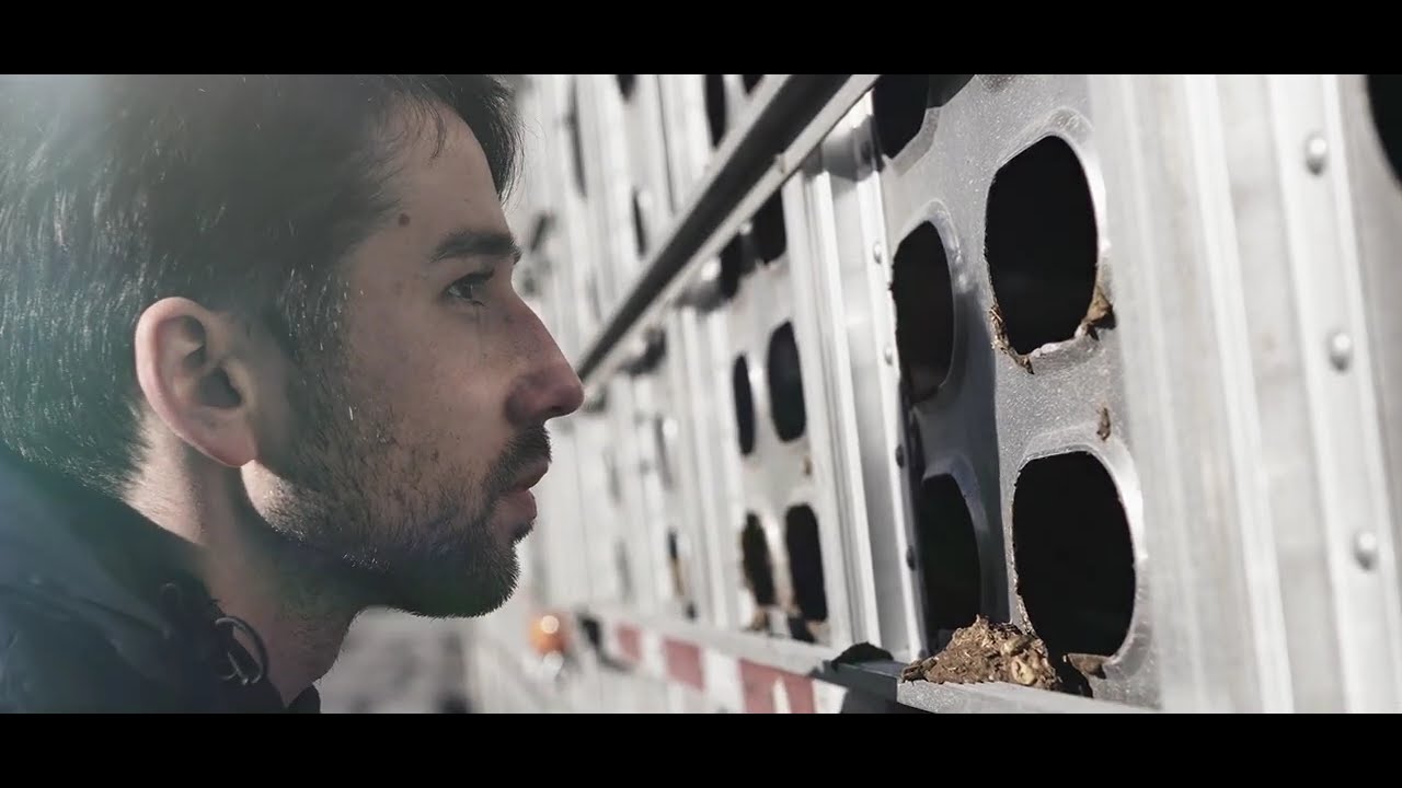 SHOWREEL | Florian Seltmann