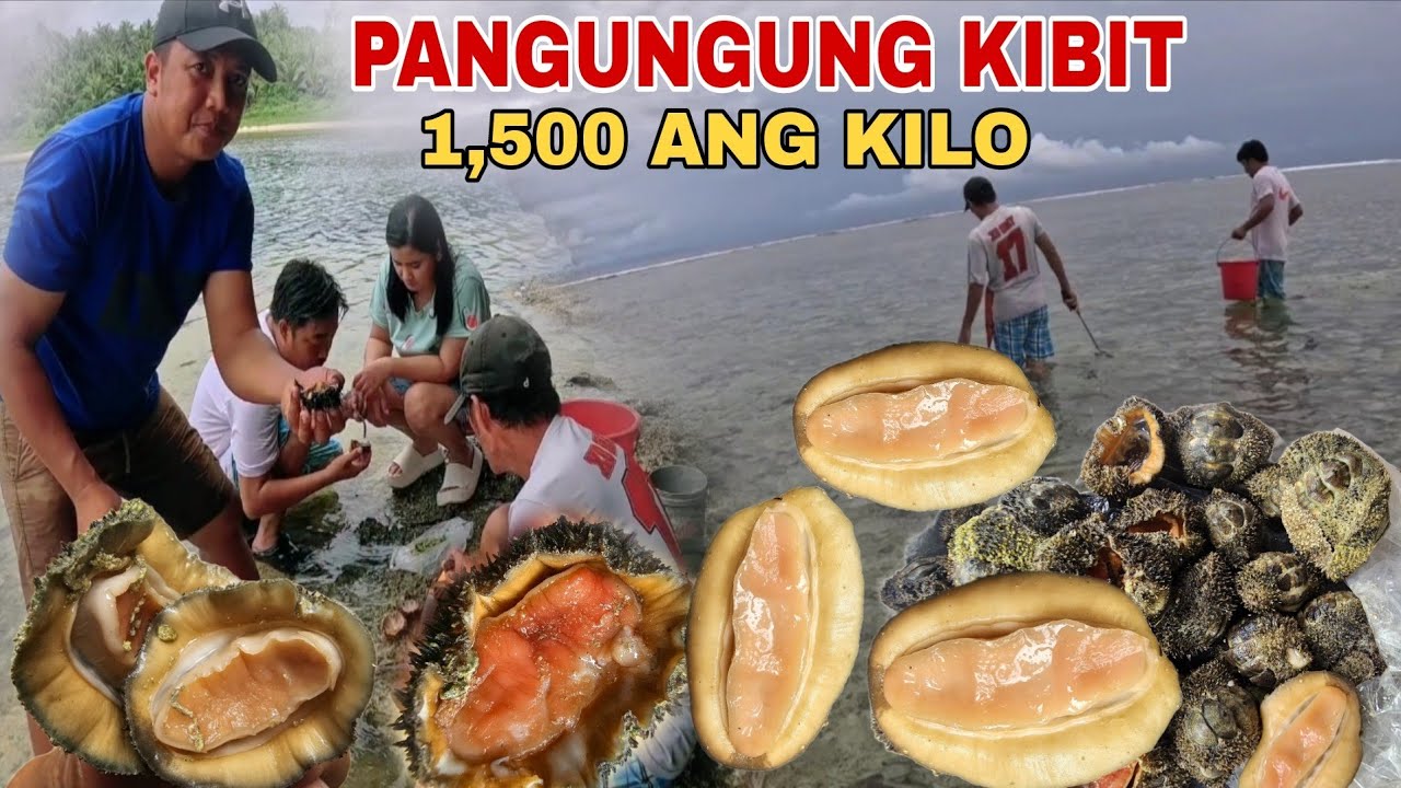 Kinakain pala ari kibit hunting Pagkaing galing dagat