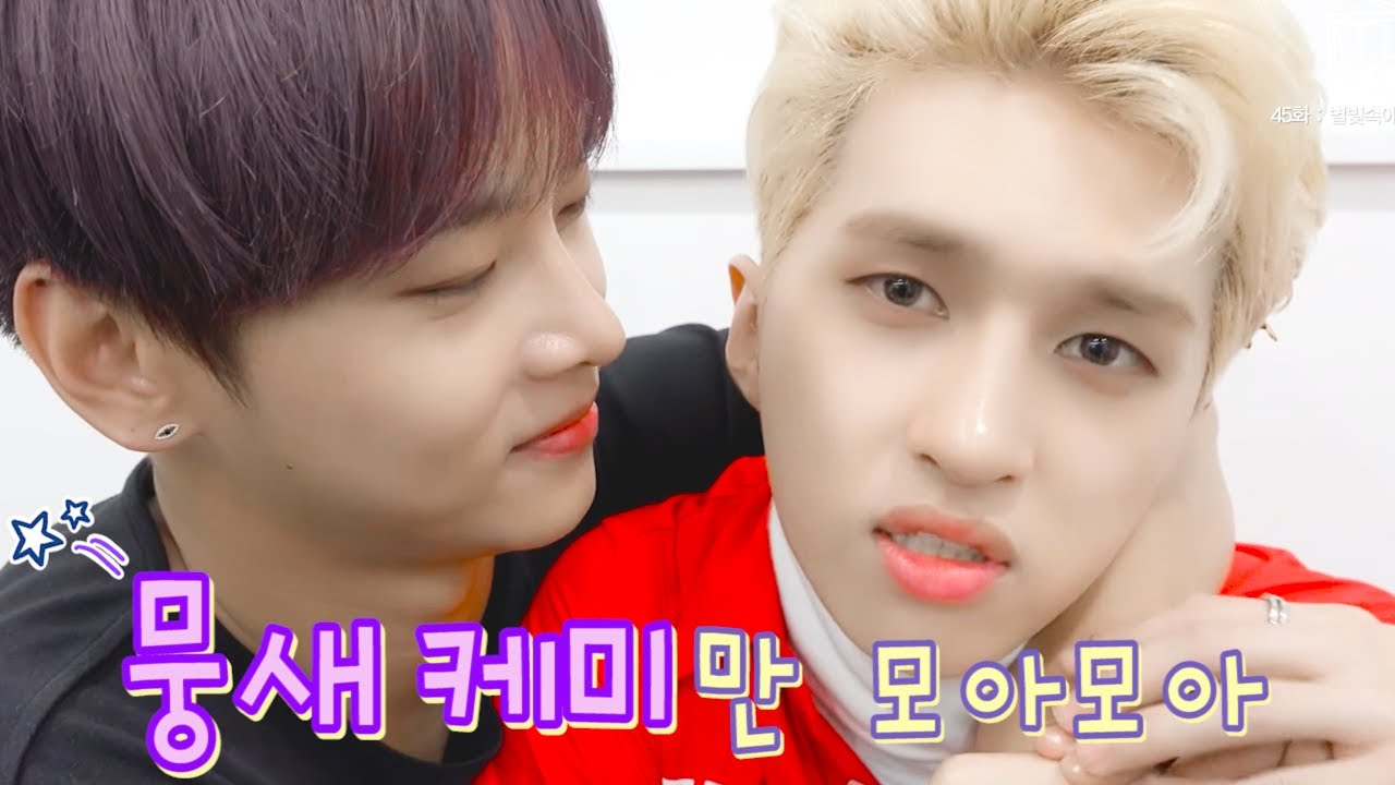 [빅스 엔 켄] [VIXX N KEN] 뭉새 케미만 모아모아