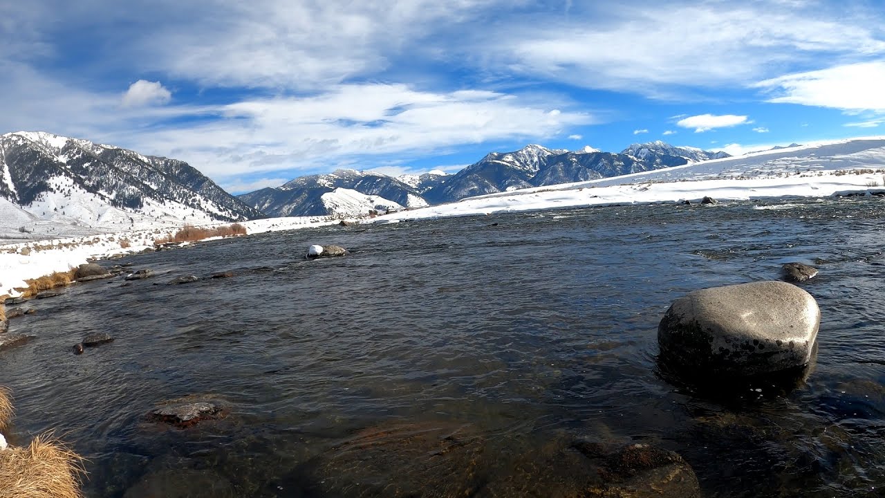Madison River - Perfect midge day in February