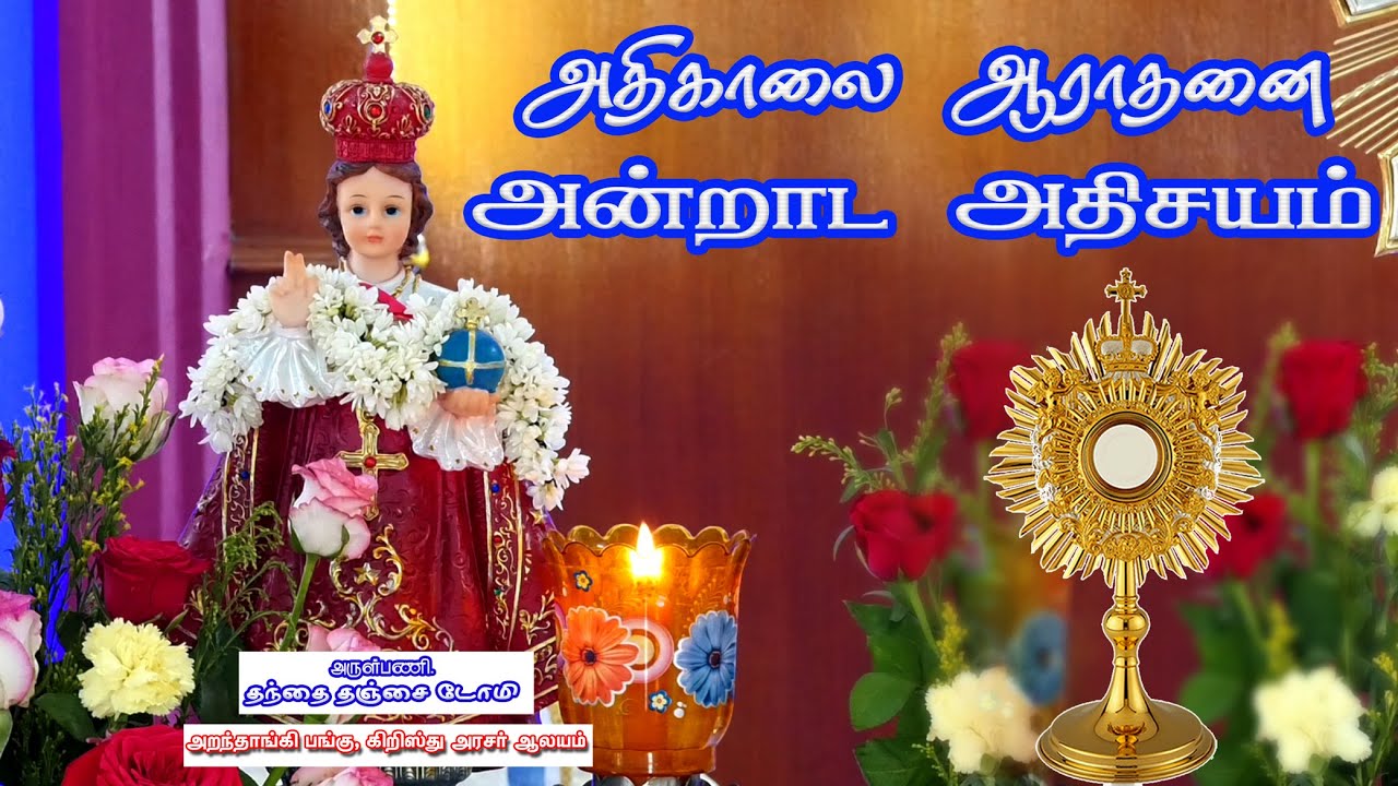 🔴 🅛🅘🅥🅔✠ 12 Feb 26 ✠ அதிகாலை ஆராதனை அன்றாட அதிசயம் ✠ கிறிஸ்து அரசர் ஆலயம், அறந்தாங்கி   Fr. DOMI