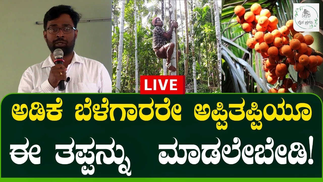 🔴 Live : ಅಡಿಕೆ ಬೆಳೆಯುವ ಬೆಸ್ಟ್ ಪದ್ದತಿ! ರೋಗ ನಿವಾರಣೆಗೆ ಉತ್ತಮ ಕ್ರಮ | Raitha Pragathi