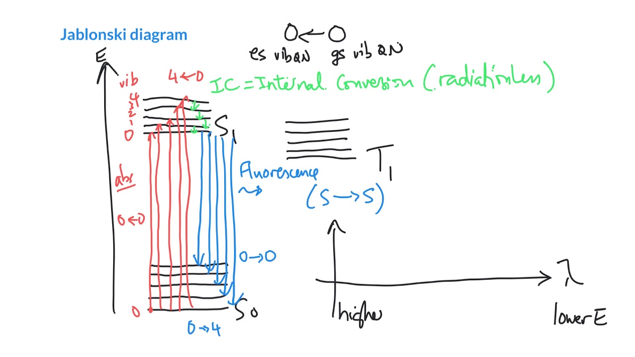 A Jablonski diagram for fluorescence