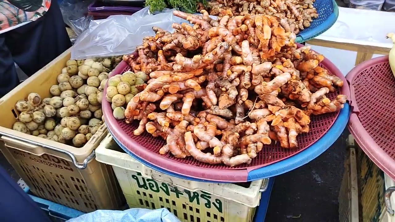 ปลาหลุมพุก หายากใช่ไหม 