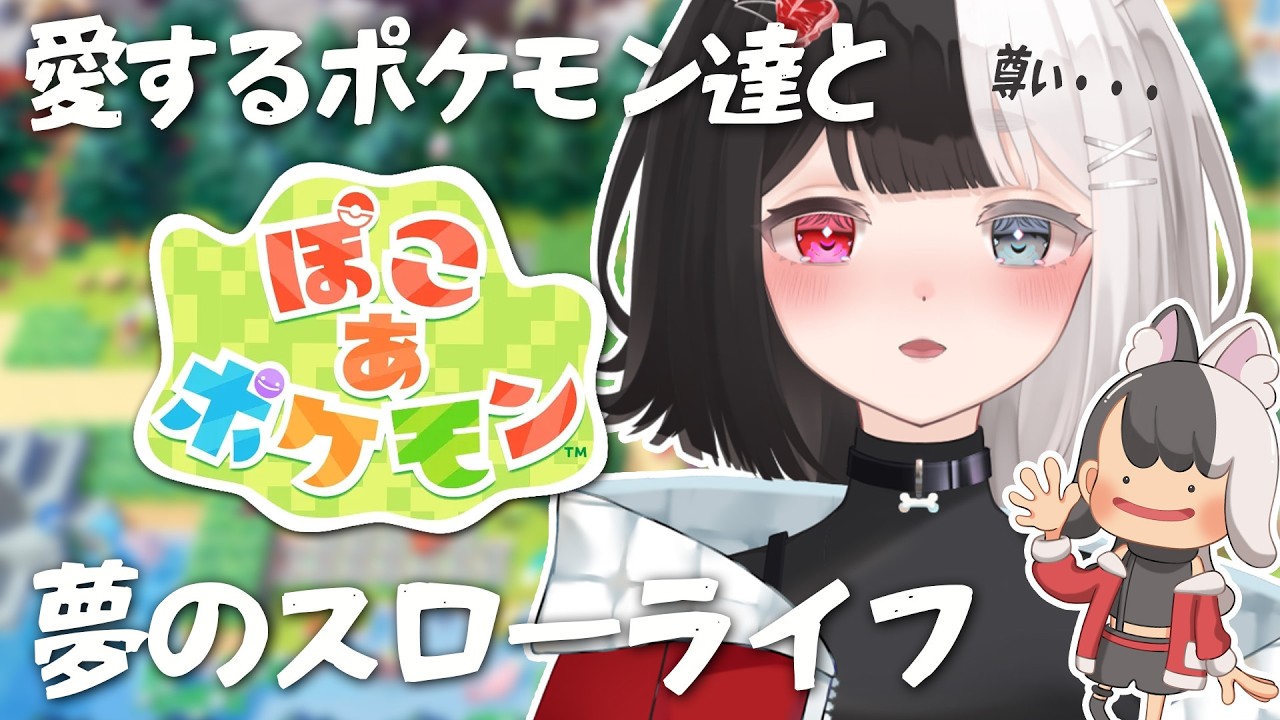 スローライフで過労してます。【ぽこ あ ポケモン】