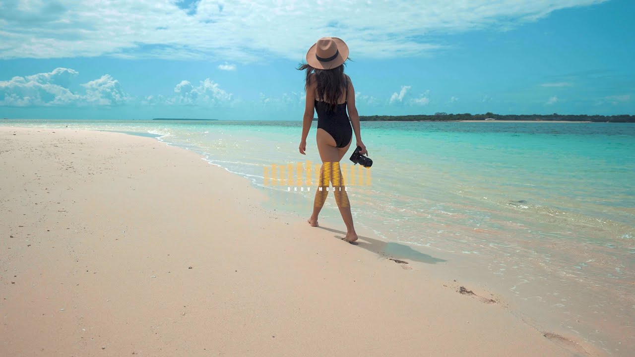 DKDV - Chill Reggae Pop