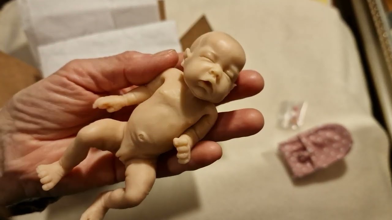 Box opening miniature silicone babies bought from marialynndolls!