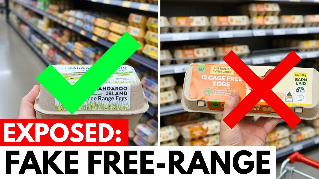 7 TOXIC Aussie Egg Brands You're Probably Buying Right Now (2 Actually Safe)