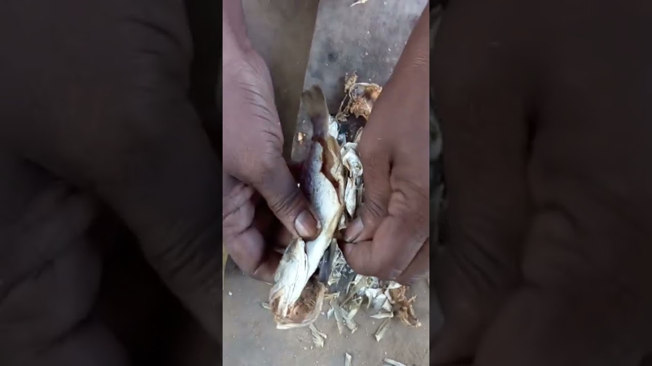 Dry fish cutting