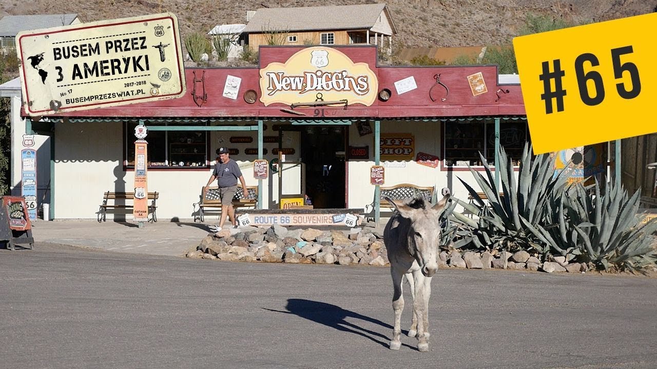 #65 Miasto, w którym rządzą OSŁY [Droga 66, Oatman]