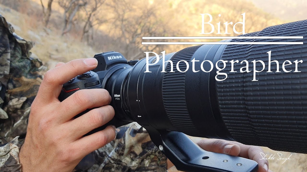 Bird Photography With Nikon Z6ii and 200-500mm lens in Mountains | Shakti Singh.
