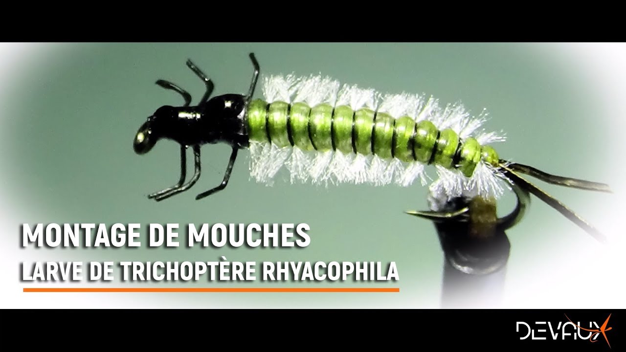 Montage mouche : Larve de trichoptère Rhyacophila par Philippe Giraud