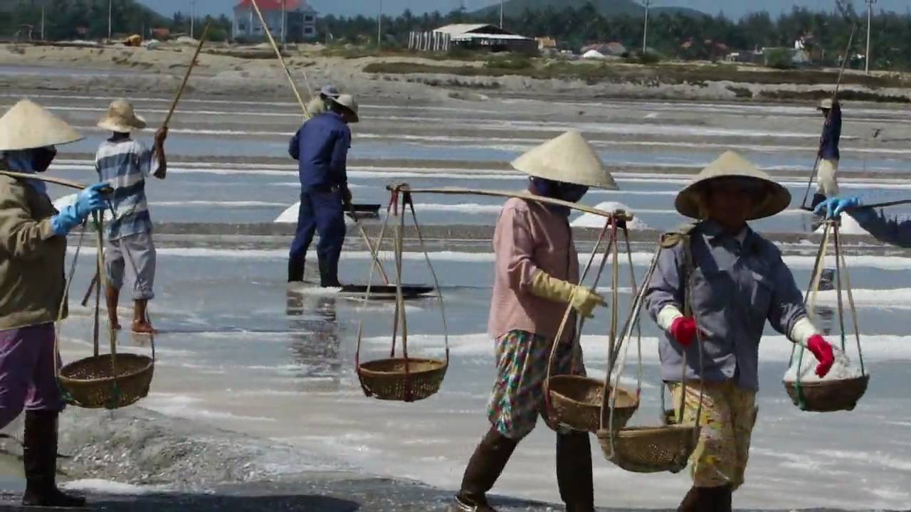Nghề muối ở Ninh Hải -  Nha Trang