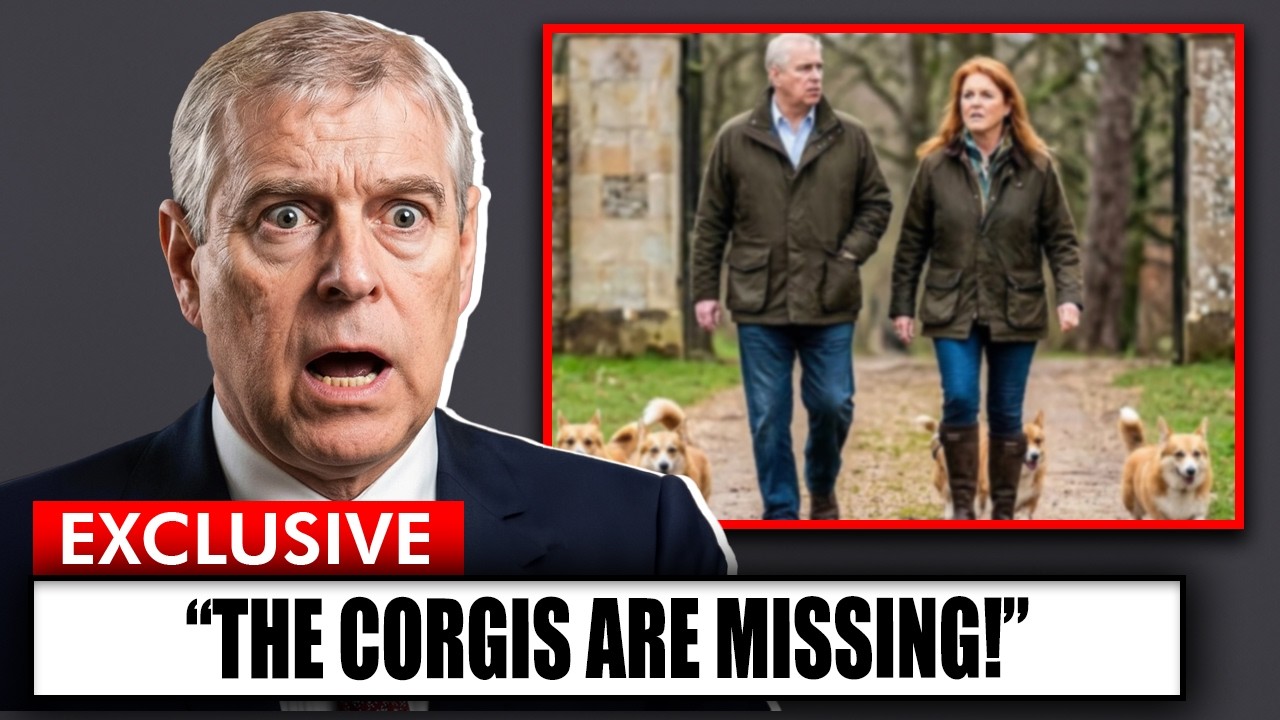 Shocking Truth: What Andrew Really Did To Queen’s Corgis Will Break Hearts