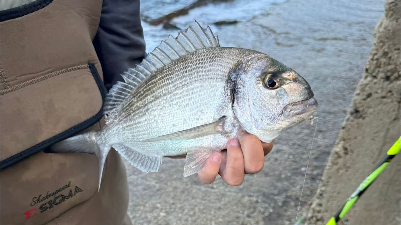 PESCA A FONDO CON MARE IN SCADUTA! #fishing #viral #pesca #fish #surfcasting #like 
