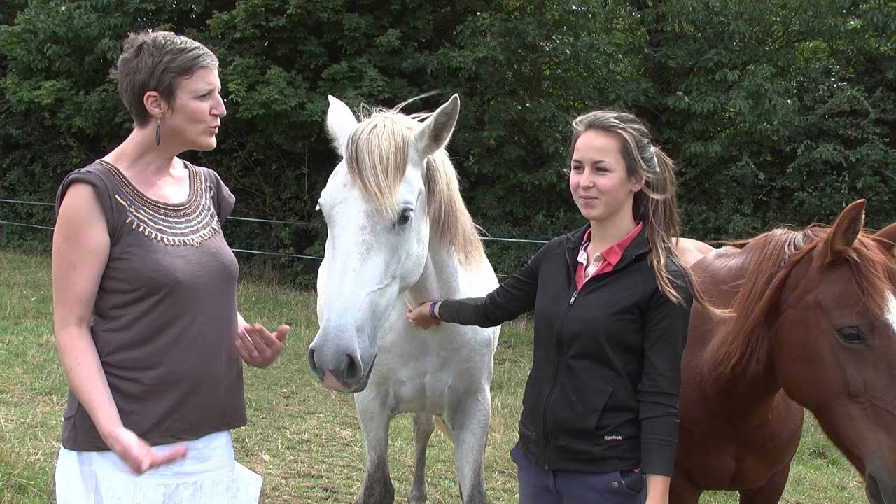 Rencontre avec Anne Gaëlle Bertho pour cavales d'automne à Quintin