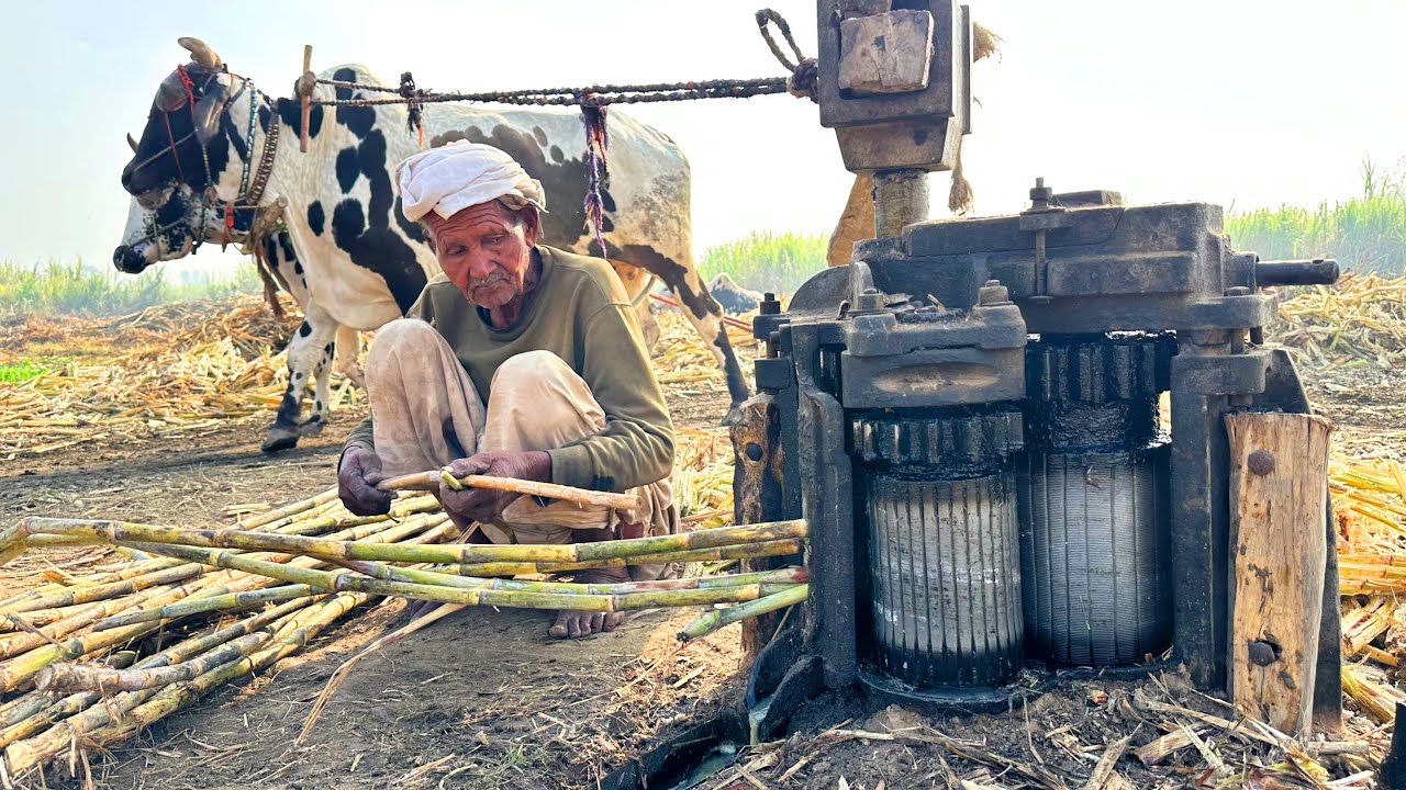 The Journey of Sugarcane Machine | Manufacturing Process You Don’t See Anymore 