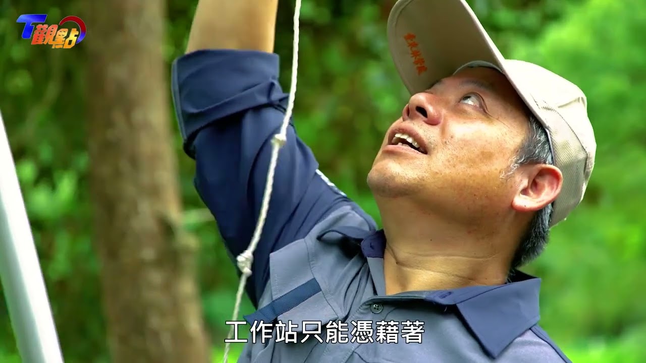 台東小熊Mulas重返山林 野放成功全紀錄 T觀點 20221102