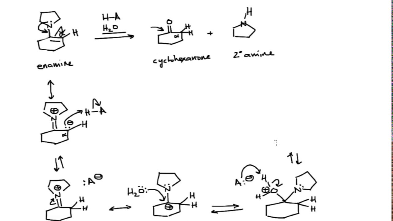 Mechanism of Enamine Hydrolysis Organic Chemistry
