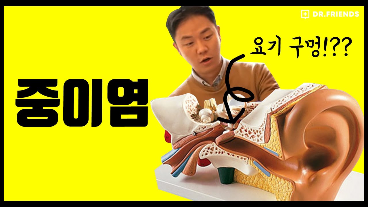 귀아픈거 방치하면 고막에 구멍이 날수도!? (feat. 의사들의 피규어)